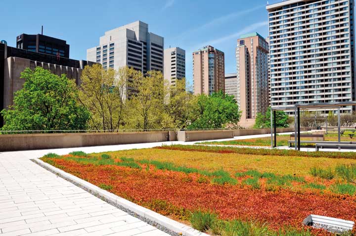 Telhados verdes oferecem beleza e soluções sustentáveis para centros urbanos - Revista InterArq | Arquitetura, Decoração, Design, Paisagismo e Lifestyle