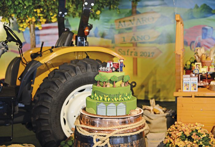 O bolo lembrava um campo ondulado com plantações, silo e o agropecuarista no topo