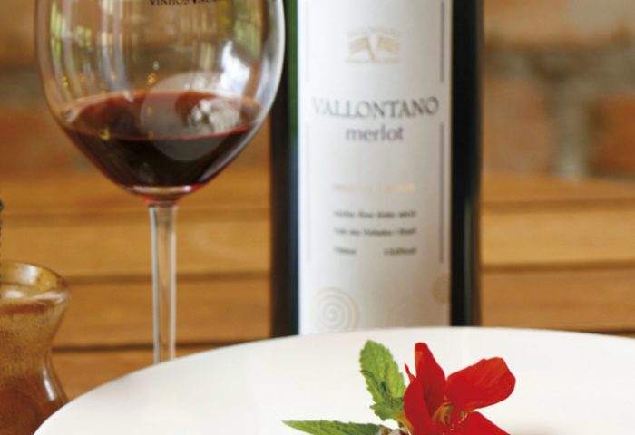 A Vinícola Vallontano oferece uma Risoteria e Café, com pratos deliciosos e uma loja de vinhos.