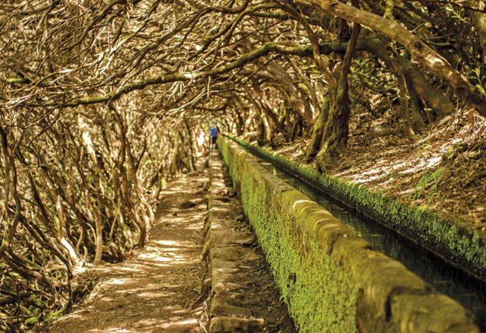 As Levadas são canais de irrigação que foram construídos para trazer grandes quantidades de água do norte da ilha para o lado sul. Com cerca de 2 mil quilômetros de caminhos, eles dão acesso aos cenários raros da floresta Laurissilva.