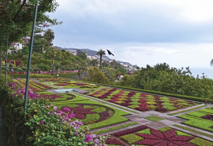 O Jardim Botânico da Madeira tem mais de 2000 plantas exóticas vindas de todo o mundo e algumas destas espécies botânicas estão em vias de extinção. Ele é composto por várias árvores e arbustos ornamentais, uma área com orquídeas, mirantes e um anfiteatro.